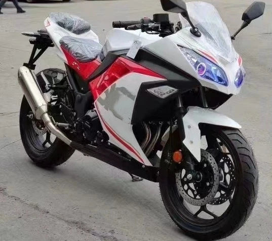 Moto Sport 250cc – Type Kawasaki Ninja, 110 km/h