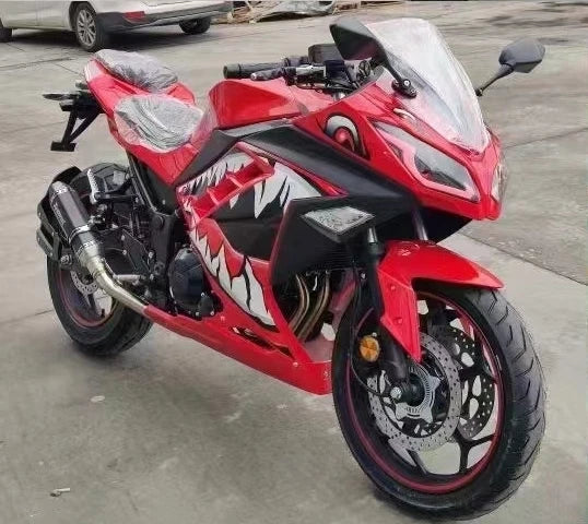 Moto Sport 250cc – Type Kawasaki Ninja, 110 km/h