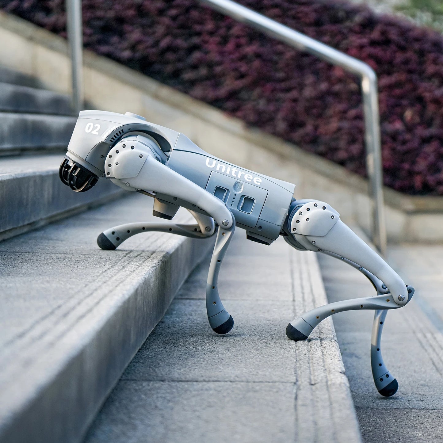 Unitree Go2 Pro : Le futur de la robotique à portée de main