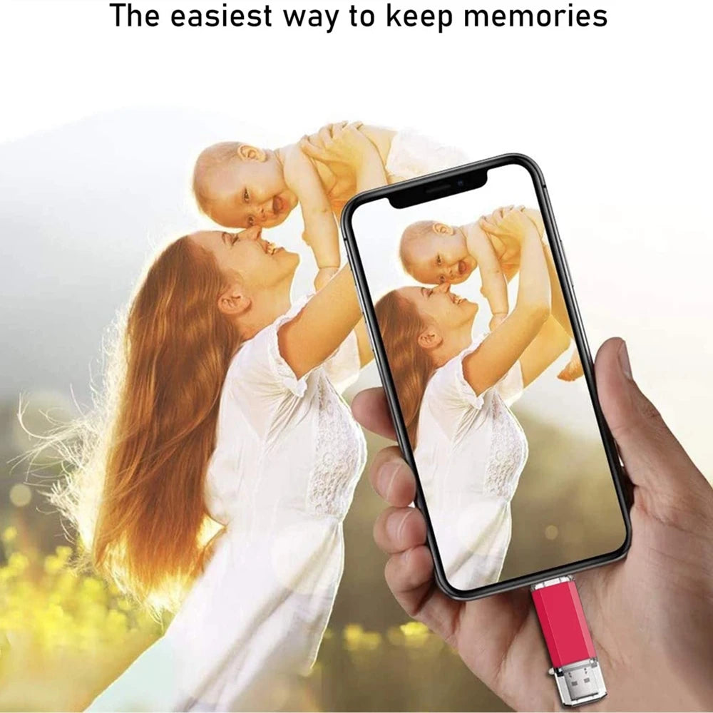 BINFUL 2NI1 TYPE-C USB 2.0 clé USB 2 to 1 to 512GB clé USB haute vitesse avec porte-clés clé mémoire cadeau d'affaires créatif U d