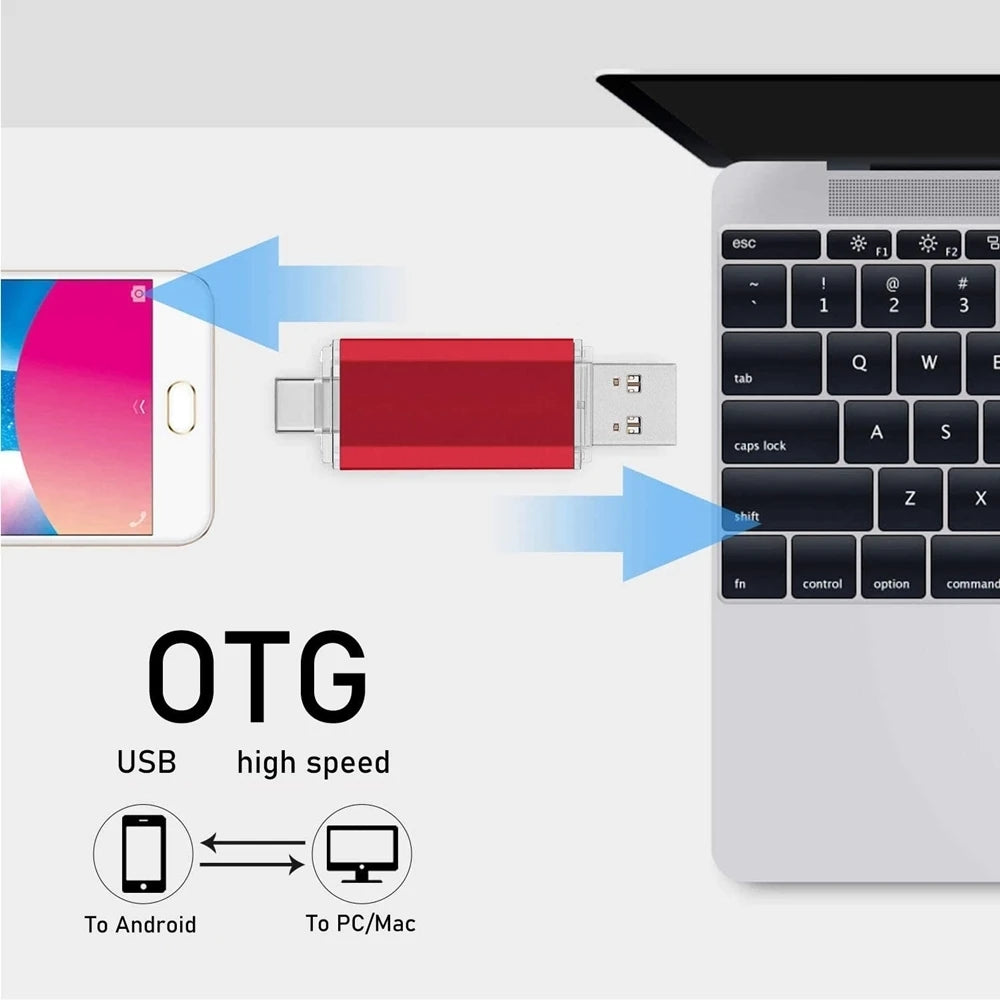 BINFUL 2NI1 TYPE-C USB 2.0 clé USB 2 to 1 to 512GB clé USB haute vitesse avec porte-clés clé mémoire cadeau d'affaires créatif U d