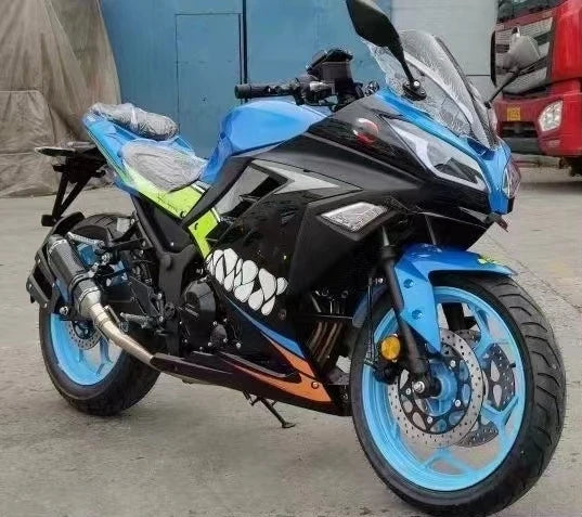 Moto Sport 250cc – Type Kawasaki Ninja, 110 km/h