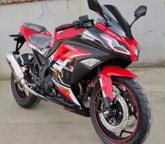 Moto Sport 250cc – Type Kawasaki Ninja, 110 km/h