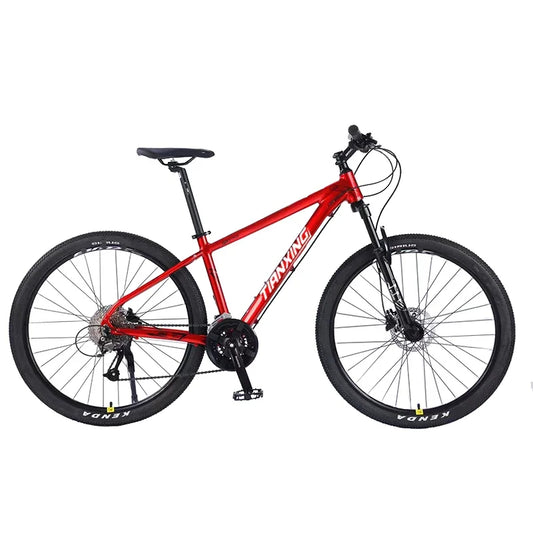🚵 Vélo de Montagne 29’’ Tianxing / YTYIN – VTT à Vitesse Variable