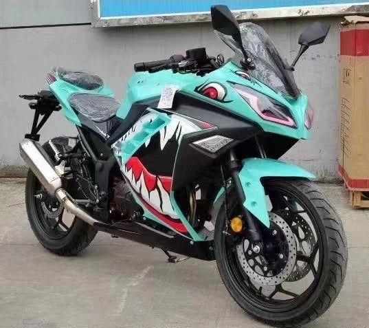 Moto Sport 250cc – Type Kawasaki Ninja, 110 km/h