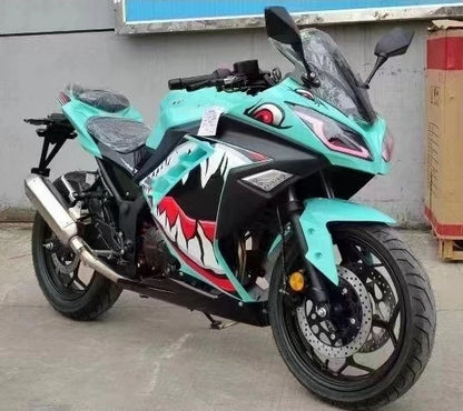 Moto Sport 250cc – Type Kawasaki Ninja, 110 km/h