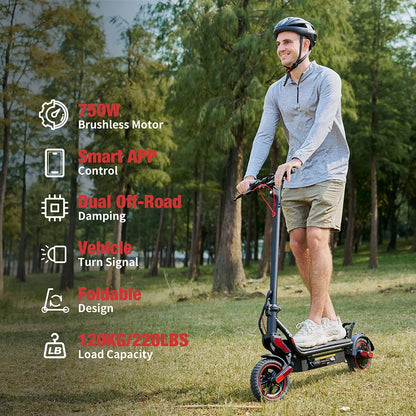 iScooter W8 – Scooter Électrique Adulte 750W, 48V 10.4Ah, Autonomie 60 km, Pliable – Pneus 9 Pouces