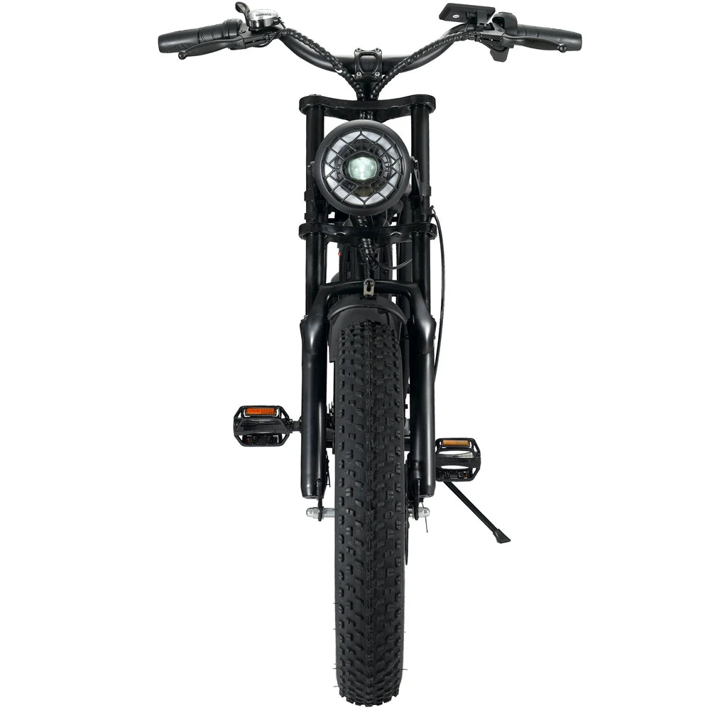 Ouxi-Vélo Électrique V8 de 30Ah/15Ah et 250W, Bicyclette à Moteur de 48V, 20x4 Pouces, Beach Cruiser, 1000W, D343, Entrepôt dans l'UE