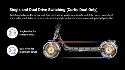 HIKERBOY CURTIS – Scooter Électrique Pliable 350W, Autonomie 40-60 km, Pneus 10"
