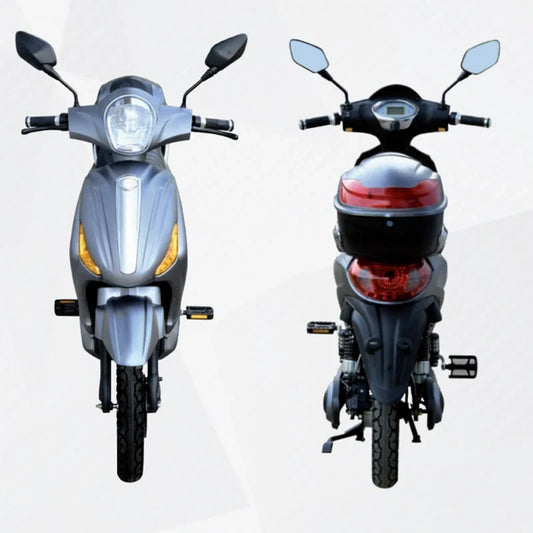 Scooter Électrique 800W – Performance et fiabilité à prix usine