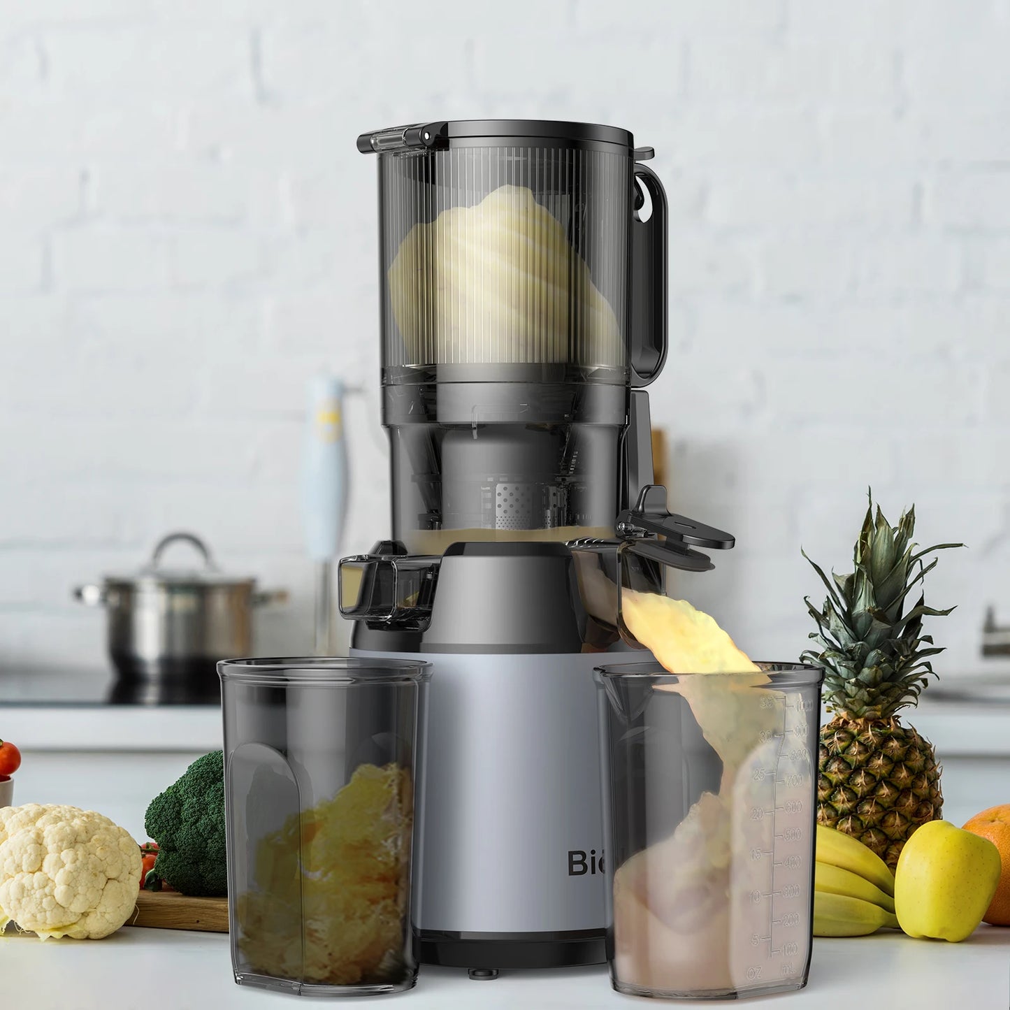 Extracteur de Jus Lent Biolomix SJ-023 – Grande Capacité &amp; Triple Filtre