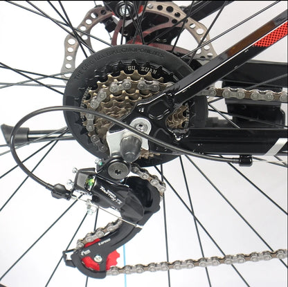 VTT 27.5/29 pouces – Vélo de Montagne pour Adultes, 24 Vitesses, Freins à Disque