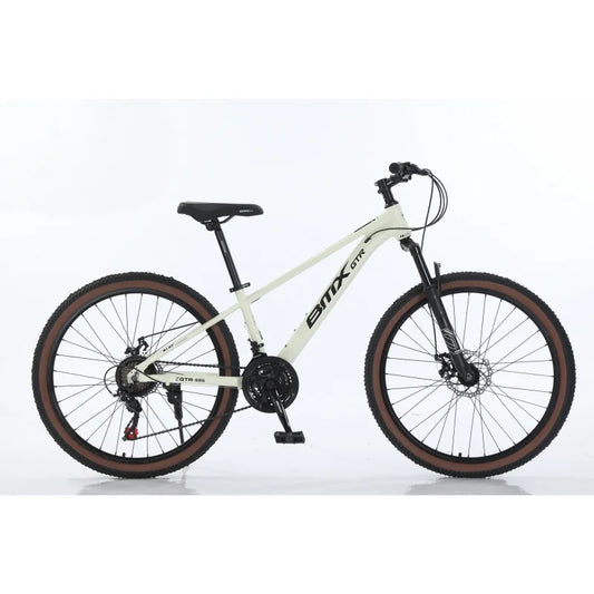 Vélo de Montagne 21 Vitesses – Freins à Disque, 26/27,5/29 pouces, Adulte Unisexe