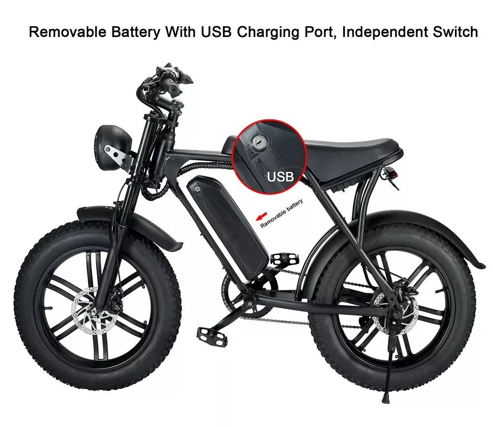 Ouxi-Vélo Électrique V8 de 30Ah/15Ah et 250W, Bicyclette à Moteur de 48V, 20x4 Pouces, Beach Cruiser, 1000W, D343, Entrepôt dans l'UE