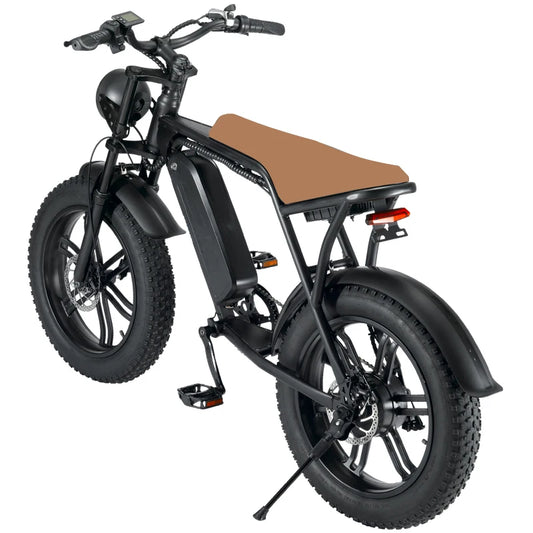 Ouxi-Vélo Électrique V8 de 30Ah/15Ah et 250W, Bicyclette à Moteur de 48V, 20x4 Pouces, Beach Cruiser, 1000W, D343, Entrepôt dans l'UE